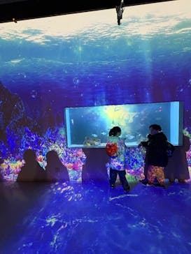 マクセル アクアパーク品川に投稿された画像（2025/12/28）