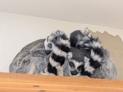 アニタッチ 東京ドームシティに投稿された画像（2025/12/28）