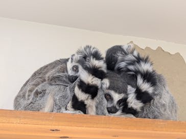 アニタッチ 東京ドームシティに投稿された画像（2025/12/28）