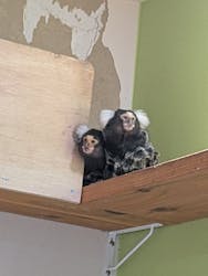 アニタッチ 東京ドームシティに投稿された画像（2025/12/28）