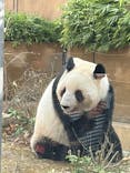 恩賜上野動物園に投稿された画像（2025/12/28）