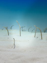 アクアワールド茨城県大洗水族館に投稿された画像（2025/12/28）