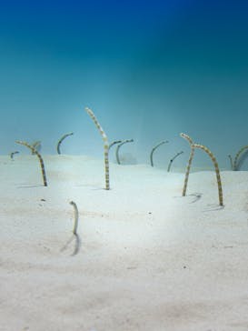 アクアワールド茨城県大洗水族館に投稿された画像（2025/12/28）