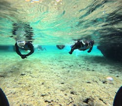 武藤潜水に投稿された画像（2025/12/28）