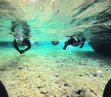 武藤潜水に投稿された画像（2025/12/28）