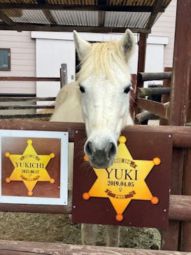 東武動物公園に投稿された画像（2025/12/28）