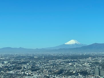 横浜ランドマークタワー 69階展望フロア スカイガーデンに投稿された画像（2025/12/28）