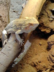 体感型動物園iZooに投稿された画像（2025/12/28）