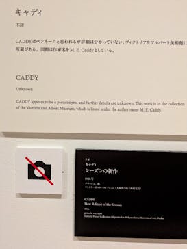 新時代のヴィーナス！　アール・デコ100年展に投稿された画像（2025/12/28）