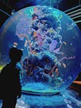 AQUARIUM × ART　atoaに投稿された画像（2025/12/28）