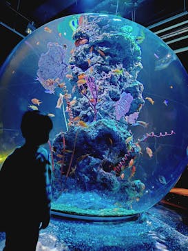 AQUARIUM × ART　atoaに投稿された画像（2025/12/28）
