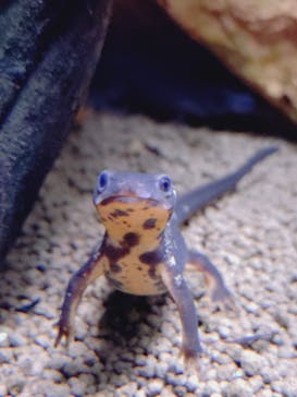 AQUARIUM × ART　atoaに投稿された画像（2025/12/28）