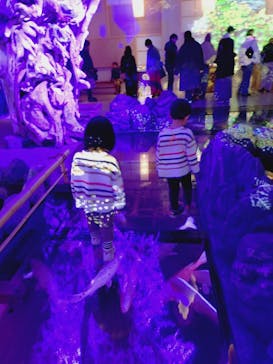 AQUARIUM × ART　atoaに投稿された画像（2025/12/28）