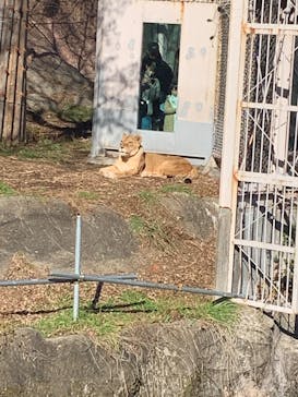 名古屋市東山動植物園に投稿された画像（2025/12/28）