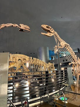 福井県立恐竜博物館に投稿された画像（2025/12/28）