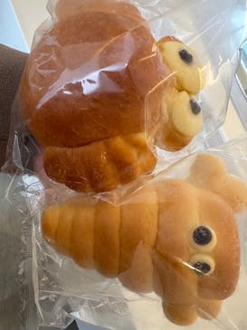 新江ノ島水族館に投稿された画像（2025/12/28）