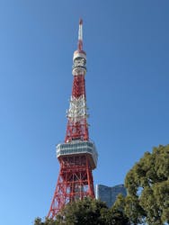 東京タワーに投稿された画像（2025/12/28）