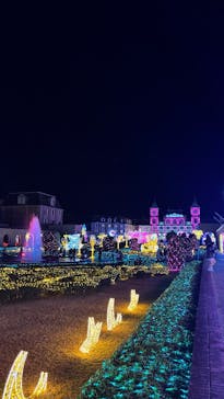 神戸イルミナージュに投稿された画像（2025/12/28）