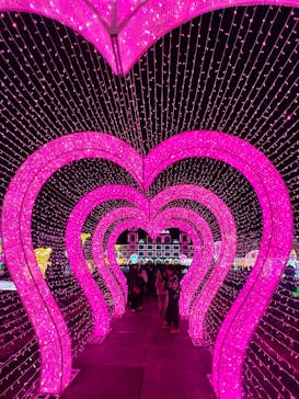 神戸イルミナージュに投稿された画像（2025/12/28）