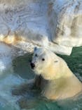 恩賜上野動物園に投稿された画像（2025/12/28）
