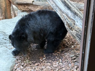 恩賜上野動物園に投稿された画像（2025/12/28）