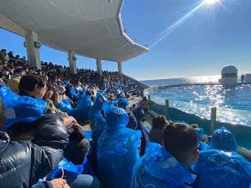 鴨川シーワールドに投稿された画像（2025/12/28）