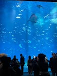 アクアワールド茨城県大洗水族館に投稿された画像（2025/12/28）