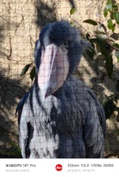 恩賜上野動物園に投稿された画像（2025/12/28）