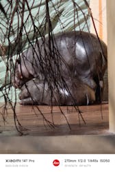 恩賜上野動物園に投稿された画像（2025/12/28）