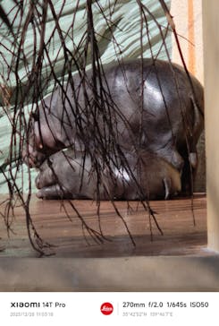 恩賜上野動物園に投稿された画像（2025/12/28）