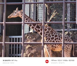 恩賜上野動物園に投稿された画像（2025/12/28）