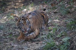 恩賜上野動物園に投稿された画像（2025/12/28）