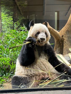 恩賜上野動物園に投稿された画像（2025/12/28）