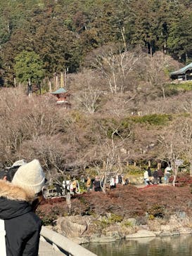 勝尾寺に投稿された画像（2025/12/28）