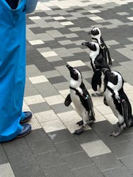 マリンワールド海の中道に投稿された画像（2025/12/28）