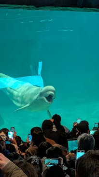 名古屋港水族館に投稿された画像（2025/12/28）