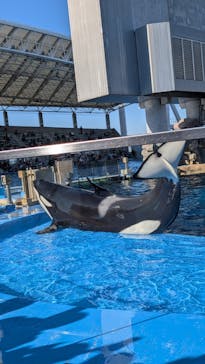名古屋港水族館に投稿された画像（2025/12/28）