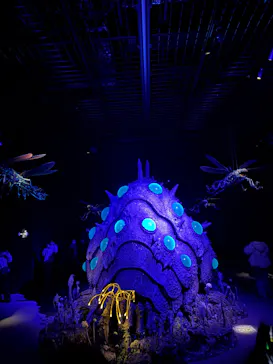 金曜ロードショーとジブリ展（静岡展）に投稿された画像（2025/12/28）