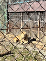 那須サファリパークに投稿された画像（2025/12/28）