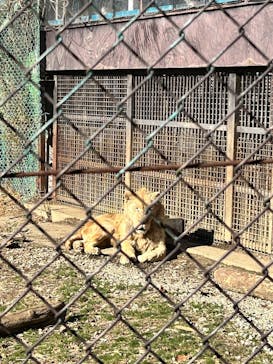 那須サファリパークに投稿された画像（2025/12/28）