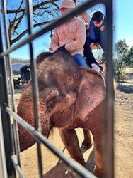 那須サファリパークに投稿された画像（2025/12/28）