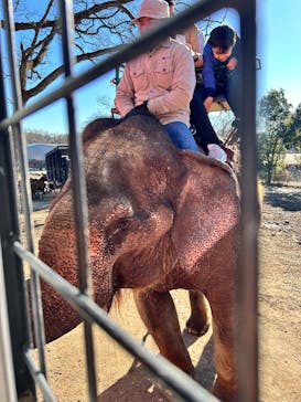 那須サファリパークに投稿された画像（2025/12/28）