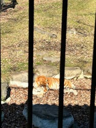 那須サファリパークに投稿された画像（2025/12/28）