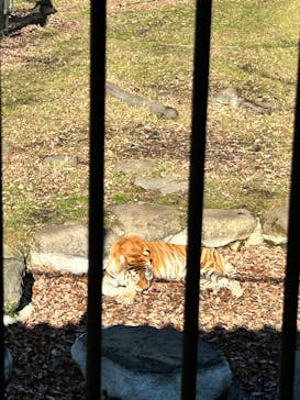 那須サファリパークに投稿された画像（2025/12/28）