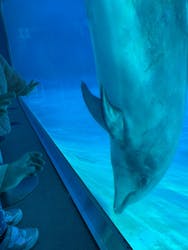 名古屋港水族館に投稿された画像（2025/12/28）