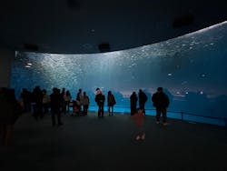 名古屋港水族館に投稿された画像（2025/12/28）