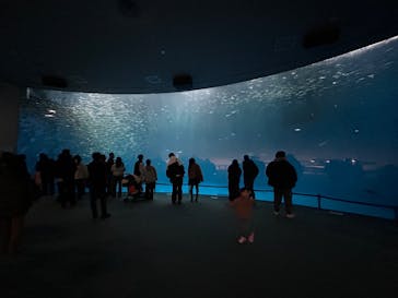 名古屋港水族館に投稿された画像（2025/12/28）