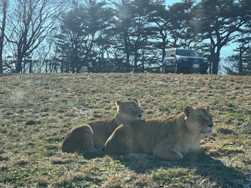 東北サファリパークに投稿された画像（2025/12/28）