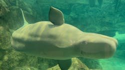 名古屋港水族館に投稿された画像（2025/12/28）