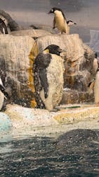 名古屋港水族館に投稿された画像（2025/12/28）